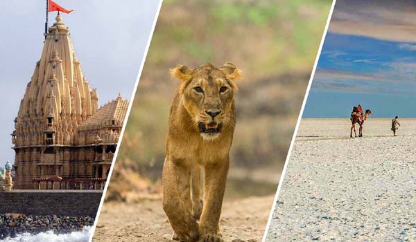 Complete Gujarat Tour from Ahmedabad – 7 Nights 8 Days